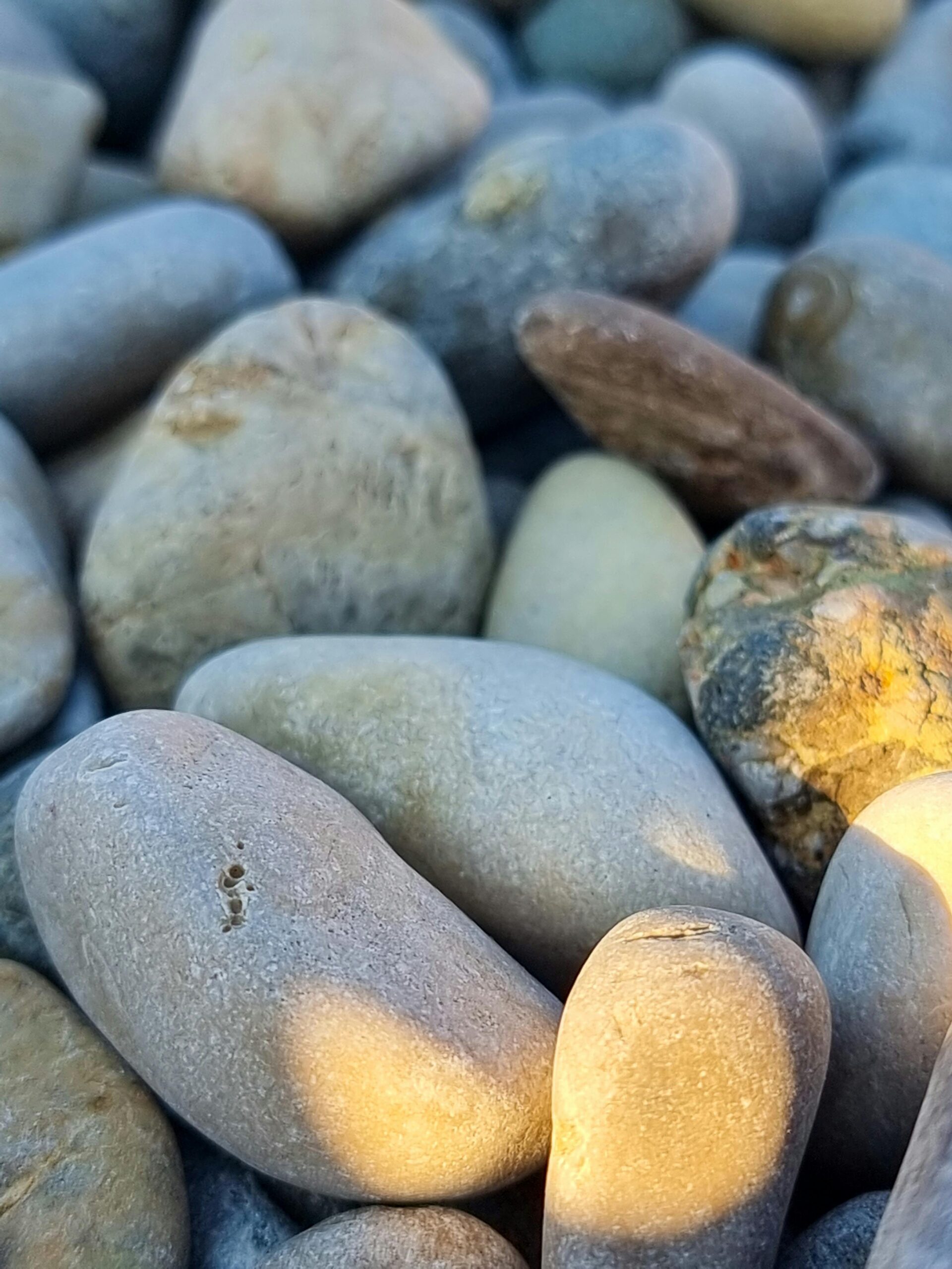 A detailed and vibrant shot of smooth stones and pebbles showcasing natural textures and light.